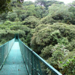 Nosara Vs Monteverde